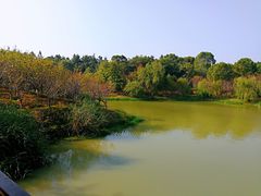 景点-八大山人梅湖景区