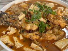 -煲来饱去冷水鱼