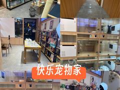 -山宅一喵德文卷毛猫舍