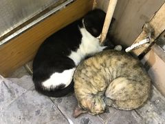 -迪拜黄金市场
