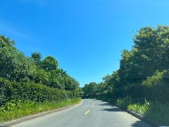 -平湖九龙山旅游度假区