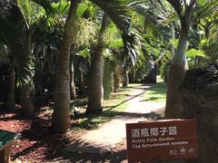 -海口火山口国家地质公园