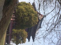 凤城河风景区-凤城河风景区