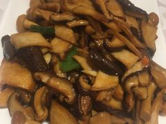 -金蝉食府(维吉奥广场店)
