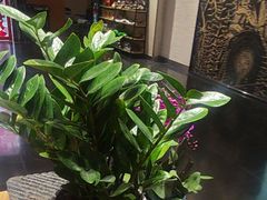 -黔蘑菇四季餐厅(观山湖店)