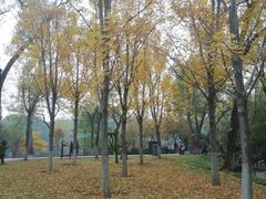 -莲湖公园