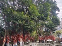 -白帝城·瞿塘峡景区
