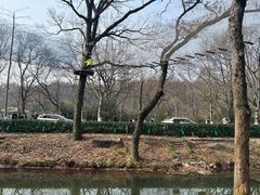 -WeLope紫金山探险公园