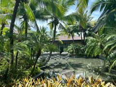 -海南清水湾莱佛士酒店