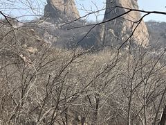 -大岭沟猕猴桃谷风景区