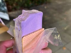 -詹爷爷乌节路街头冰淇淋