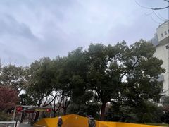 -兰溪青年公园