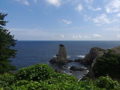 -涉地可支