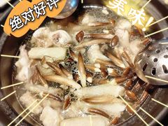 -同仁四季椰子鸡(海岸城天利店)