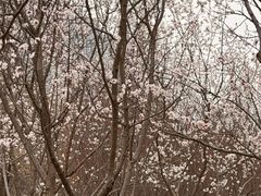 -太阳宫公园