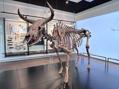 -丹麦国家博物馆