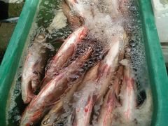 -水山海鲜水产店