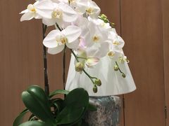 -Tiffany & Co.蒂芙尼
(南京德基广场店)