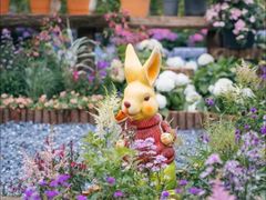 -武汉园博园(武汉自然博物馆)