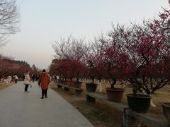 -秀丽东方