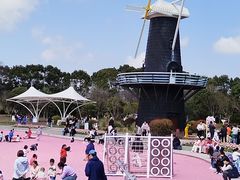 -上海鲜花港