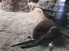 -齐齐哈尔龙沙动植物园