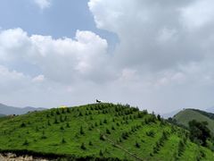 -灵山