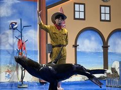 -重庆欢乐海底世界