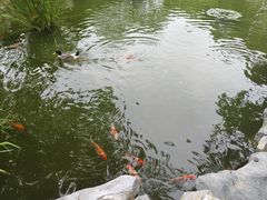 -月湖风景区