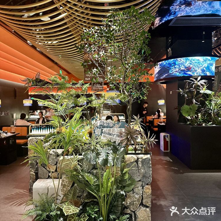 新鲜野生菌子每天打飞的来，就为提供这口新鲜