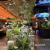 新鲜野生菌子每天打飞的来，就为提供这口新鲜