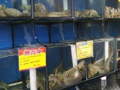 -蚝专家(北滘店)