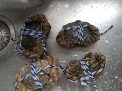 -乡乐园蟹庄·阳澄湖农家乐