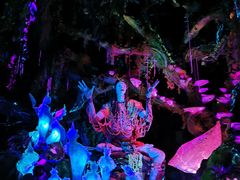 -奥兰多迪士尼动物王国乐园