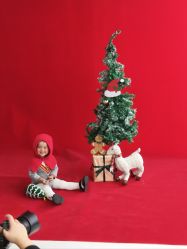 -熊孩子韩国儿童摄影(三义街店)