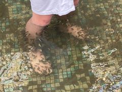 -长白山聚龙火山温泉