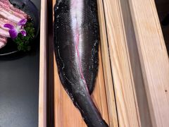 -银座苑烧肉酒场·烤活鳗(仙霞路店)
