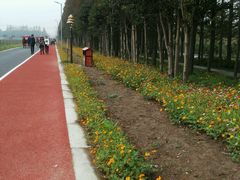 -上海长兴岛郊野公园