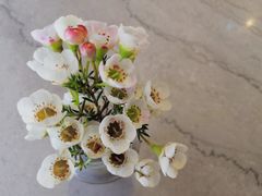 -Nectar One Cafe(勇烈路n1店)