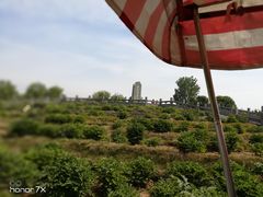 -洛阳市隋唐城遗址植物园