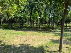 -永定河休闲森林公园