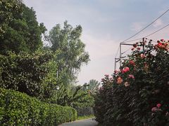 -意大利农场度假村