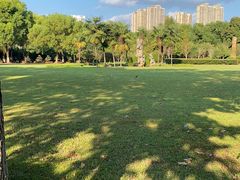 -汉水公园