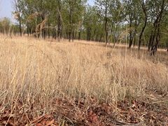 -野鸭湖国家湿地公园