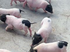 -水上乐园·欢乐世界