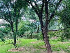 -白水寺森林公园