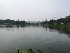 -枫香湖儿童公园