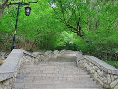 -千佛山风景名胜区