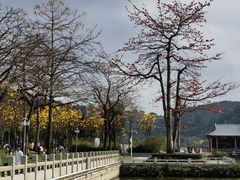-顺峰山公园