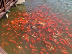 -大连植物园